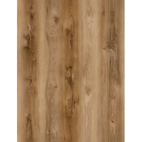 SPC Spark Fire (6025-7), 42 класс 4 мм